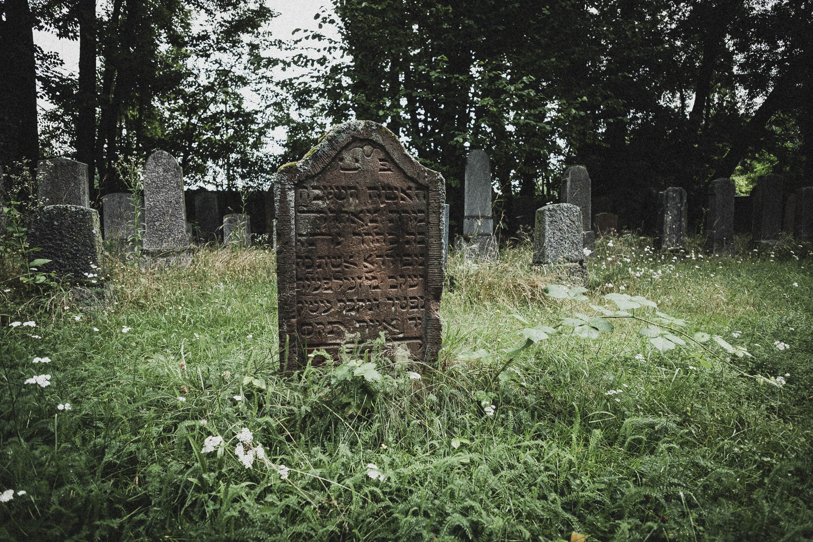 Langenselbold, Jüdischer Friedhof